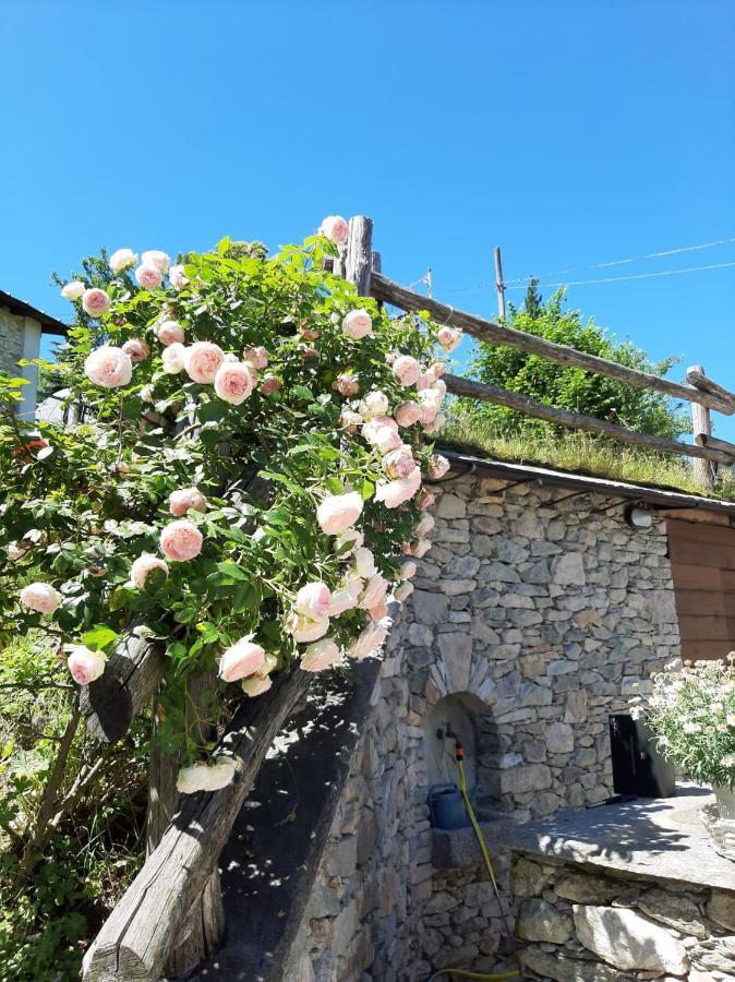 Affittacamere La Lea Roccaforte Mondovì エクステリア 写真